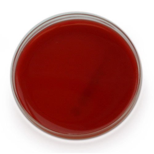 emb-agar